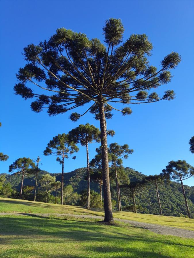 Casa De Campo Quinta Do Vale - Familia 乌鲁比西 外观 照片