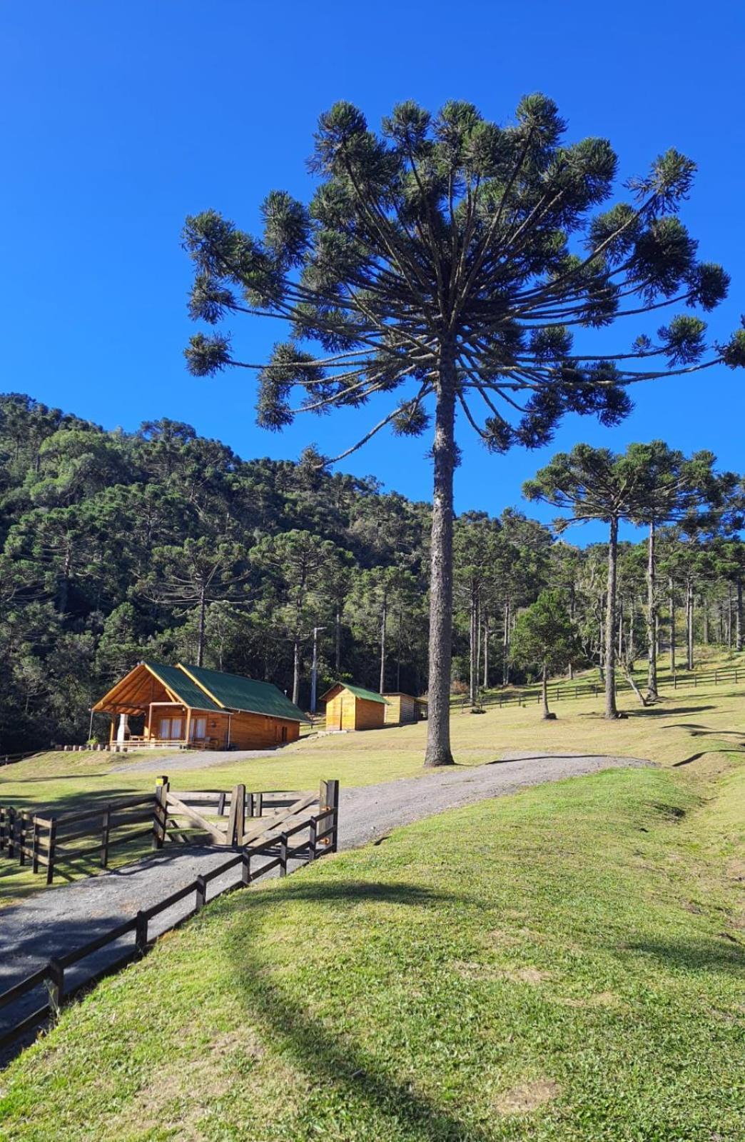 Casa De Campo Quinta Do Vale - Familia 乌鲁比西 外观 照片